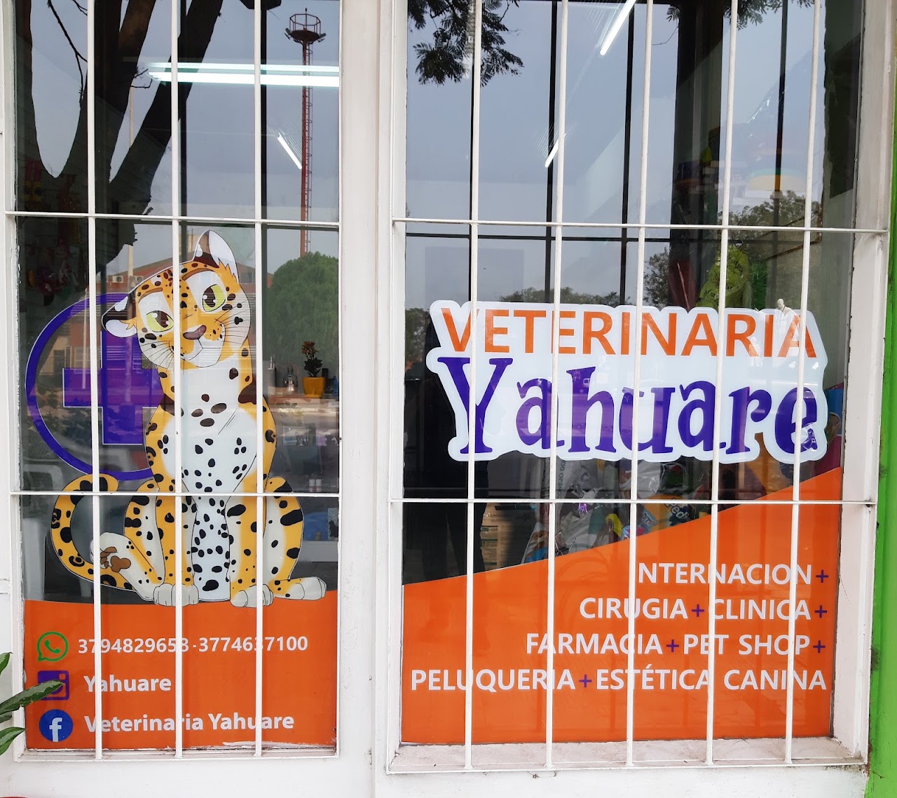 Fachada de Veterinaria Yahuaré con su mascota